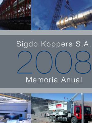 Memoria Anual SK 2008