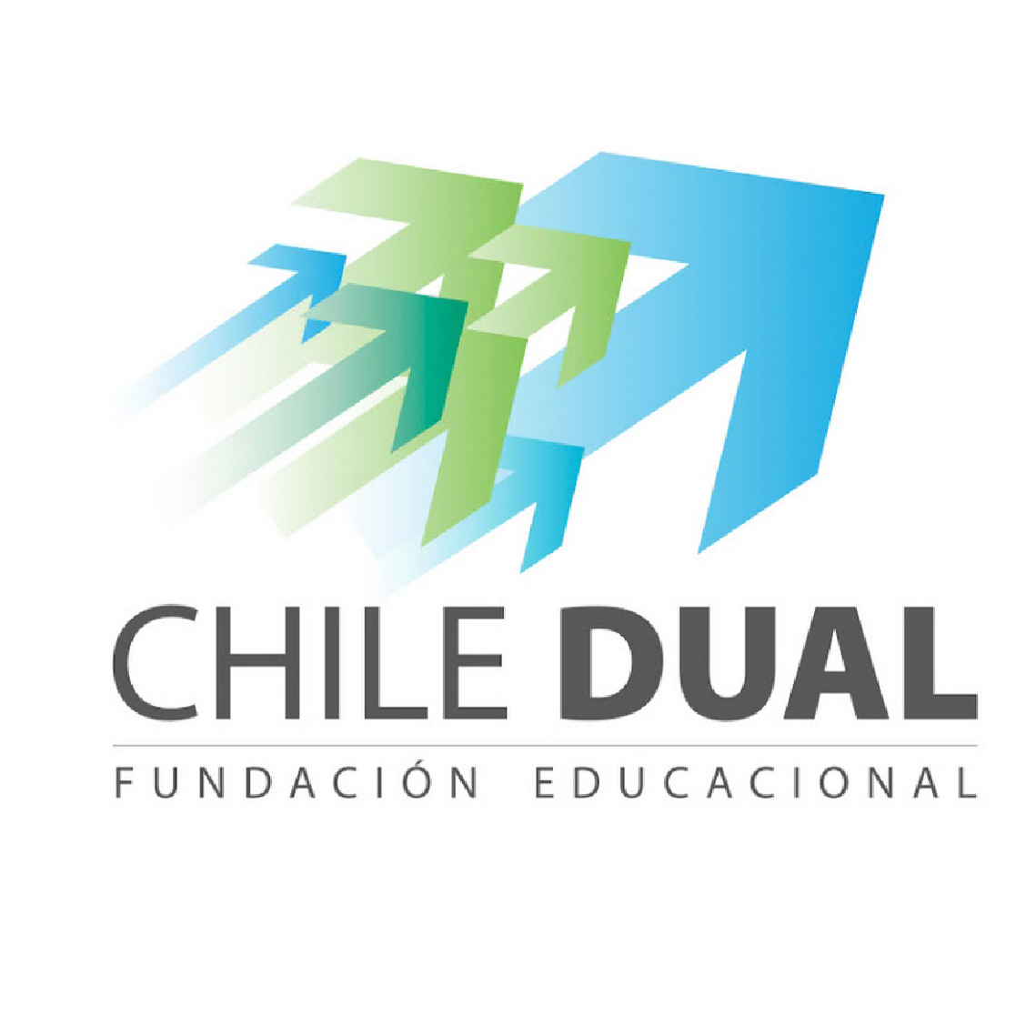 CHILE DUAL EDUCATIONAL FOUNDATION