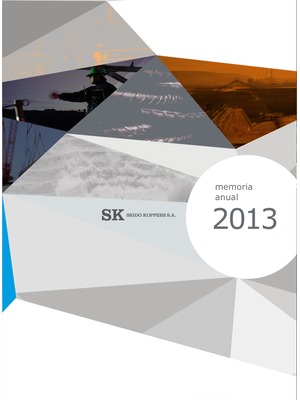 Memoria Anual SK 2013