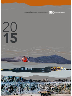 Reporte Integrado SK 2015